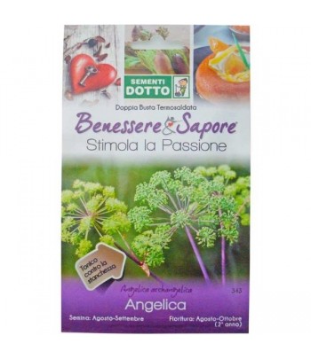 Angelica - Sementi Dotto