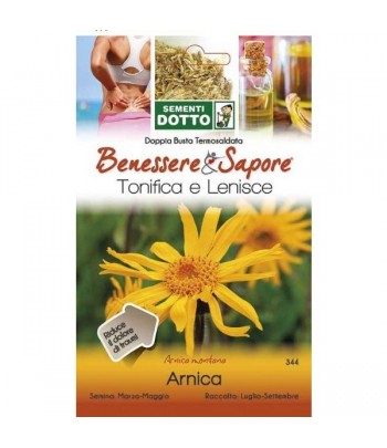 Arnica -  Sementi Dotto